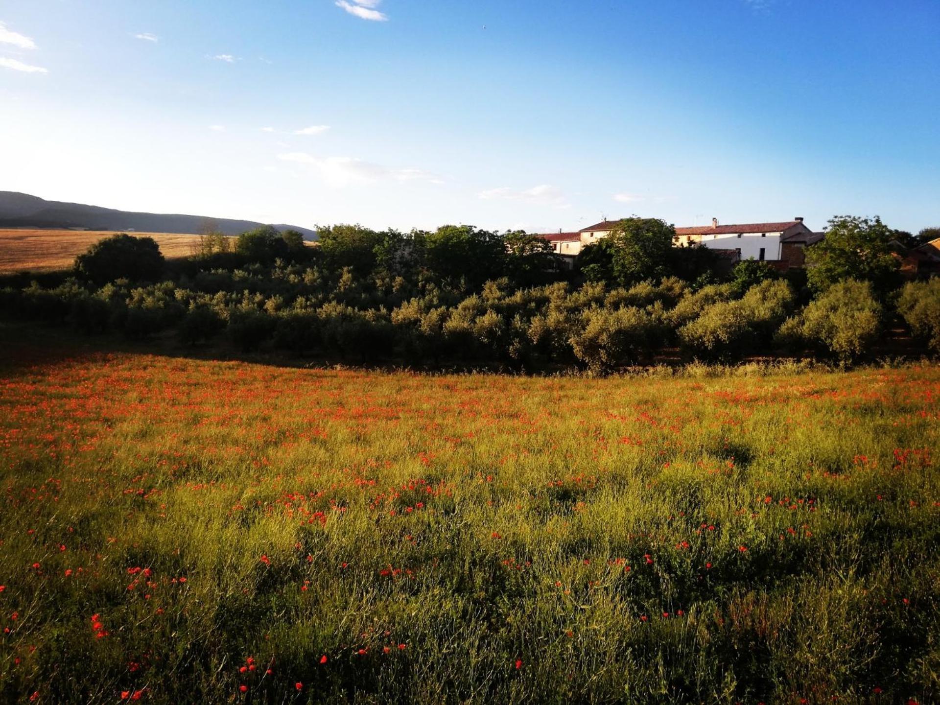 Casa Luka Etxea Villa Zabal Екстериор снимка