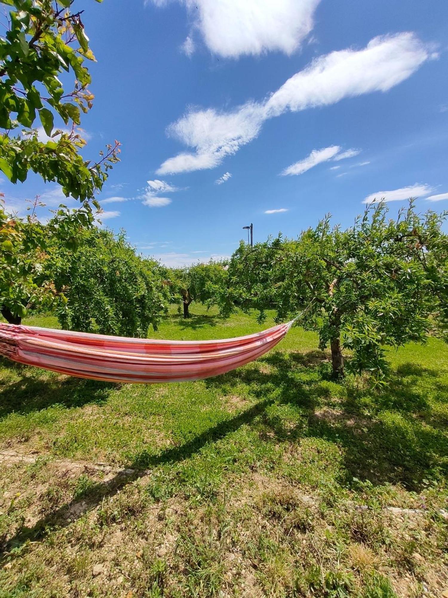 Casa Luka Etxea Villa Zabal Екстериор снимка