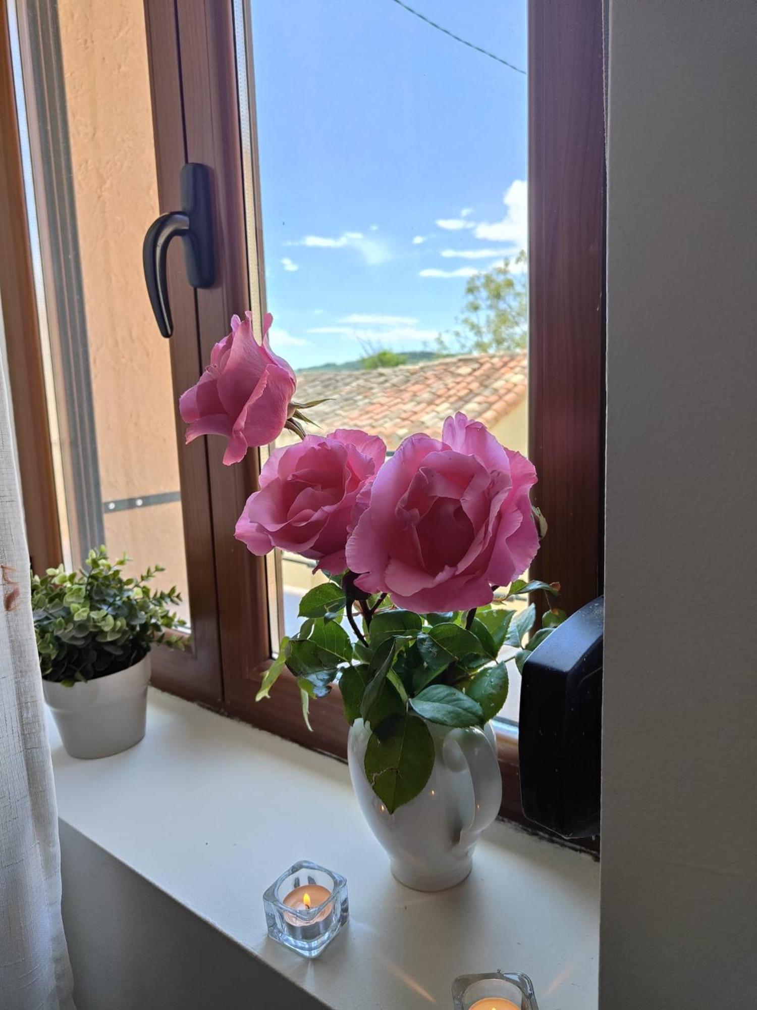 Casa Luka Etxea Villa Zabal Екстериор снимка